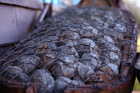 집속탄의 일종인 'BLU26'. CIA의 라오스 비밀전쟁(19641973) 동안 집중 사용된 이 집속탄은 한 유닛에 670개의 작은 포탄이 들어있다. (Photo by Lee Yu Kyung)