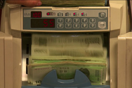 The government says Minerva's posts helped undermine confidence in the value of the won