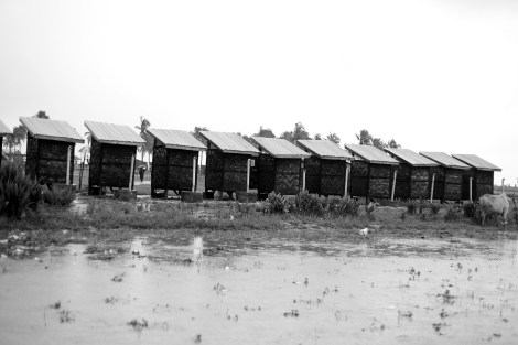 시뜨웨 외곽 로힝야/무슬림 피난민 (IDPs) 캠프내 공동 화장실. (Photo © Lee Yu Kyung 2013) 